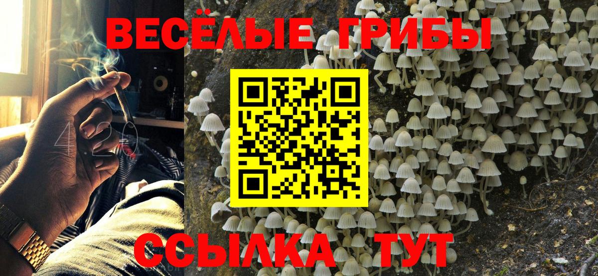 Нягань  Псилоцибиновые грибы прущие грибы  Вход с VPN 